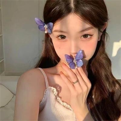 麒麟之翼